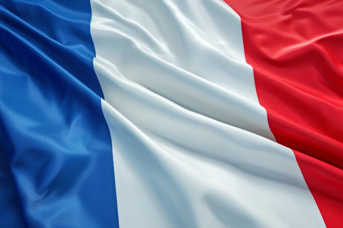 Expertise française