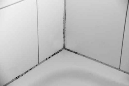 joints - salle de bains