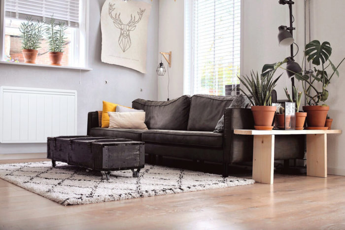 radiateur a inertie economique aterno dans un salon