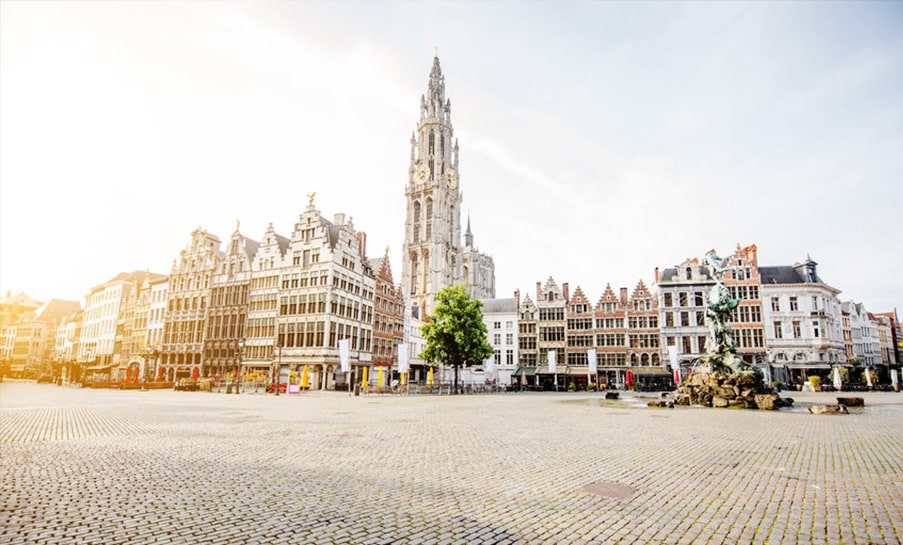 succes international